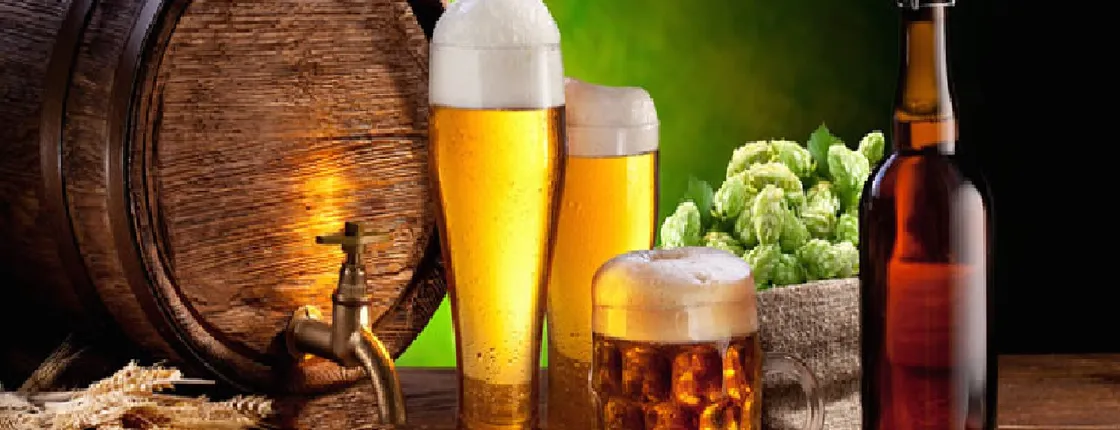 Poznan Old Town and Brewery Tour - PRIVATE (5h)