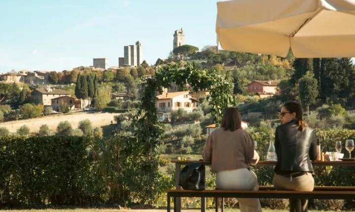 Private Wine & Oil Tasting with Lunch 