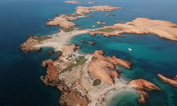 Daymaniyat Islands Snorkeling Sharing Trip 