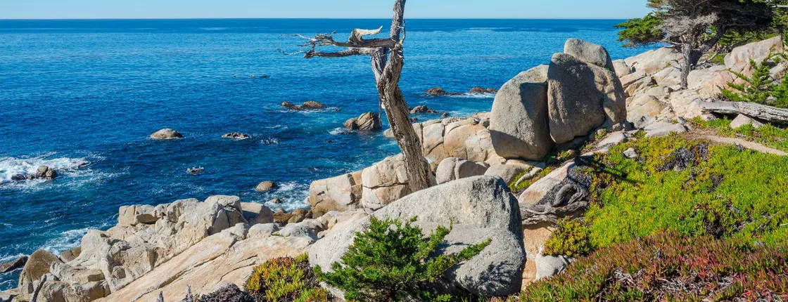 Scenic 17-Mile self-guided driving tour in Monterey