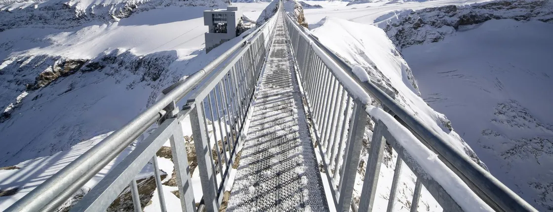Full-day tour to Glacier 3000 and Montreux from Geneva