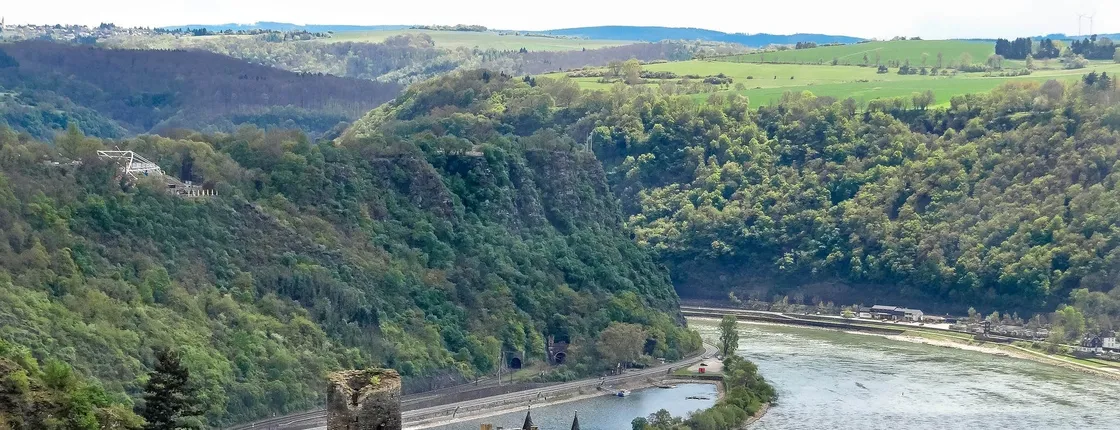 Day tour to the Rhine Valley from Frankfurt