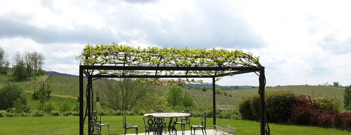 Winery tour and wine tasting at La Raia in Gavi in Piedmont