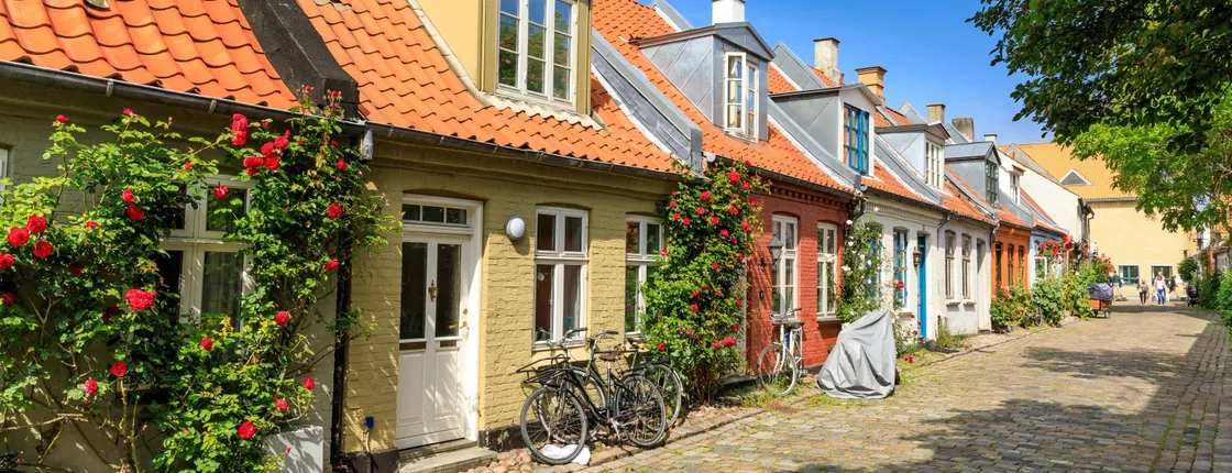 Introductory walking tour of Aarhus with a local