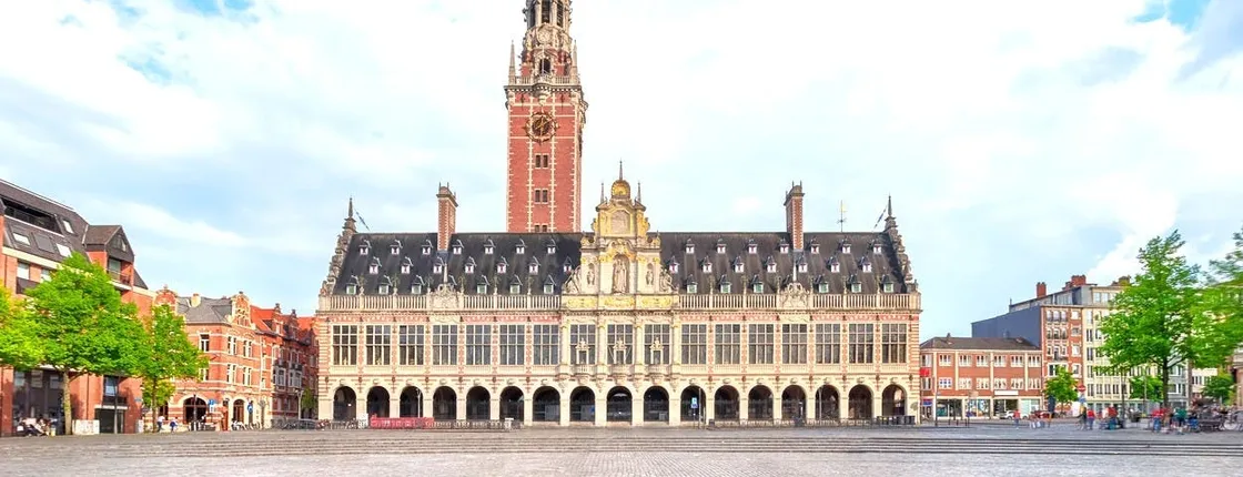 Leuven 2-hour intro walking tour with a local