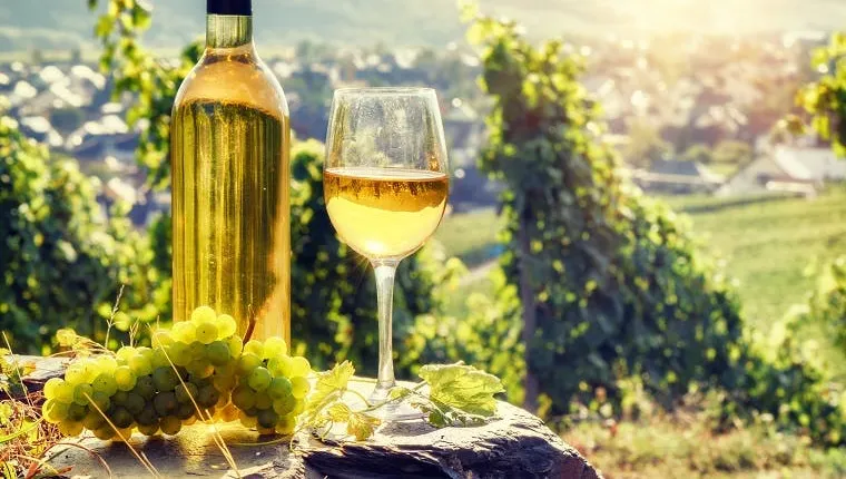 Alsace full-day shared wine tour from Colmar