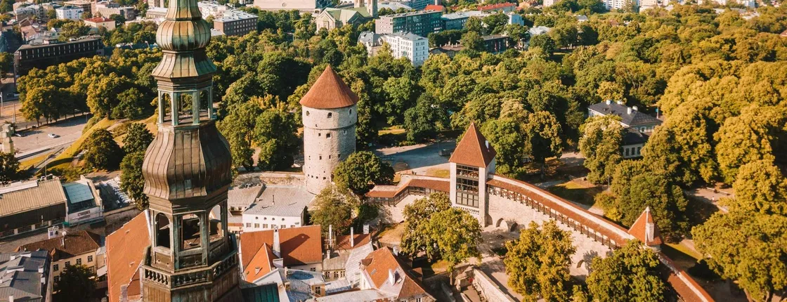 Explore Tallinn's photogenic highlights with a local