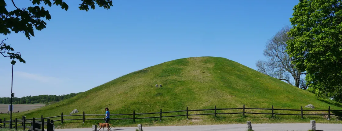 Guided Viking and vendel era walking tour in historic Uppsala