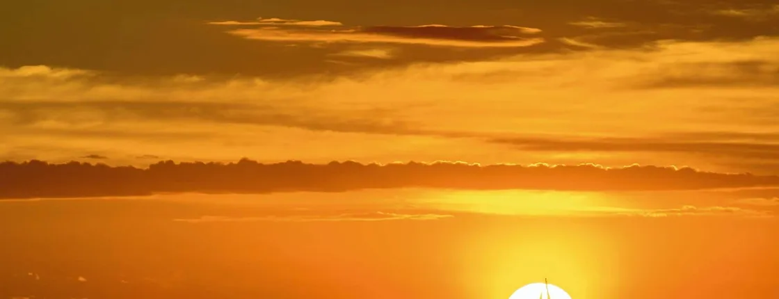 Pura vida sunset cruise