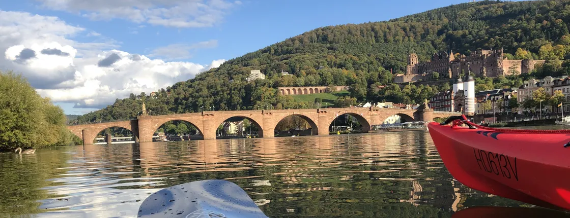 Guided kayak tour on the Neckar in Heidelberg