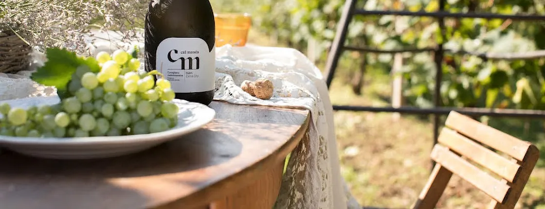 Wine Tasting Tour in Prosecco Hills in Veneto