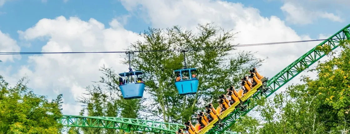 Busch Gardens® Tampa Bay 1-day admission tickets