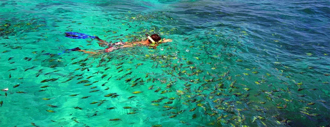 Speedboat tour of the Phi Phi Islands