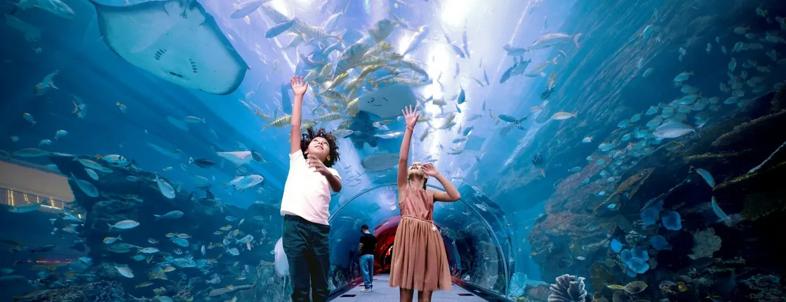 Burj Khalifa floors 124, 125 and Dubai Aquarium tickets