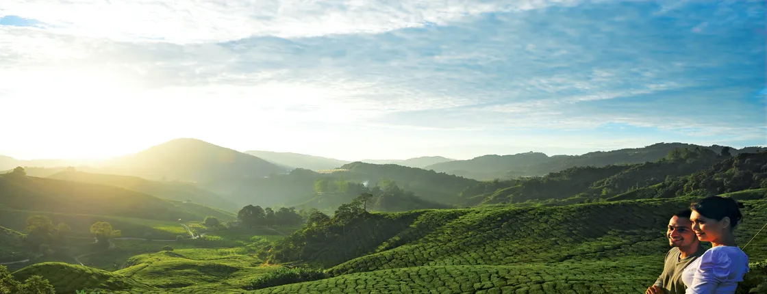 Private nature trip to Cameron Highlands from Kuala Lumpur