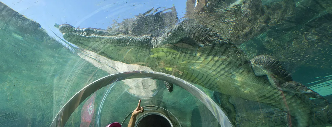 Zoo Miami general admission tickets or food package