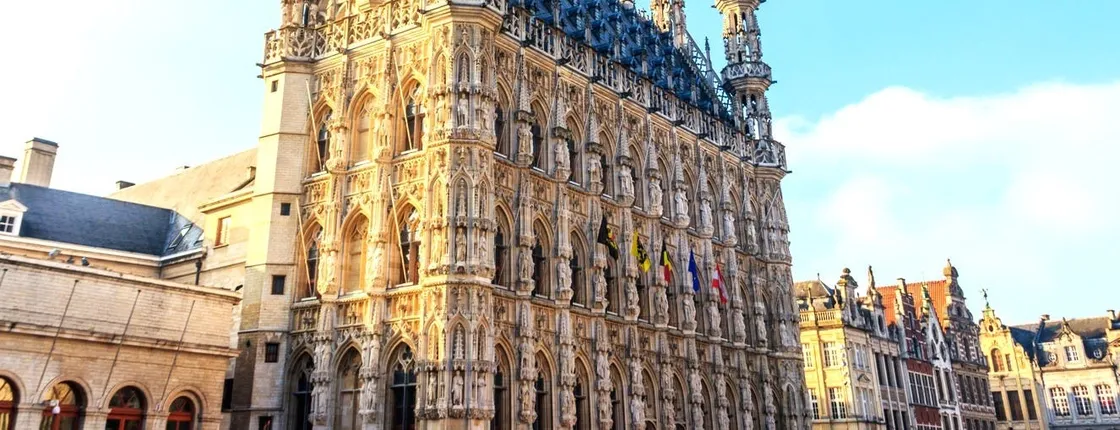 Leuven city highlights walking tour with a local
