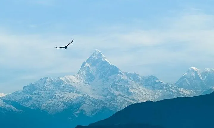Private Half day Pokhara sightseeing