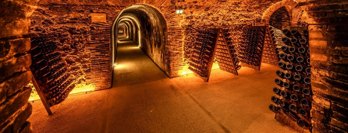Cellar visit at Boizel Champagne House with Joyau tasting