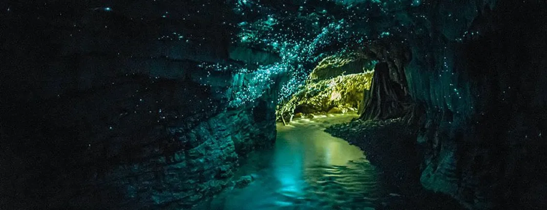 Waitomo Glowworm Cave Tour with Boat Ride