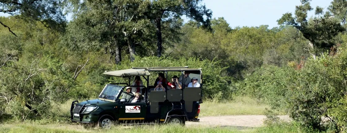Kruger National Park afternoon safari from Hazyview