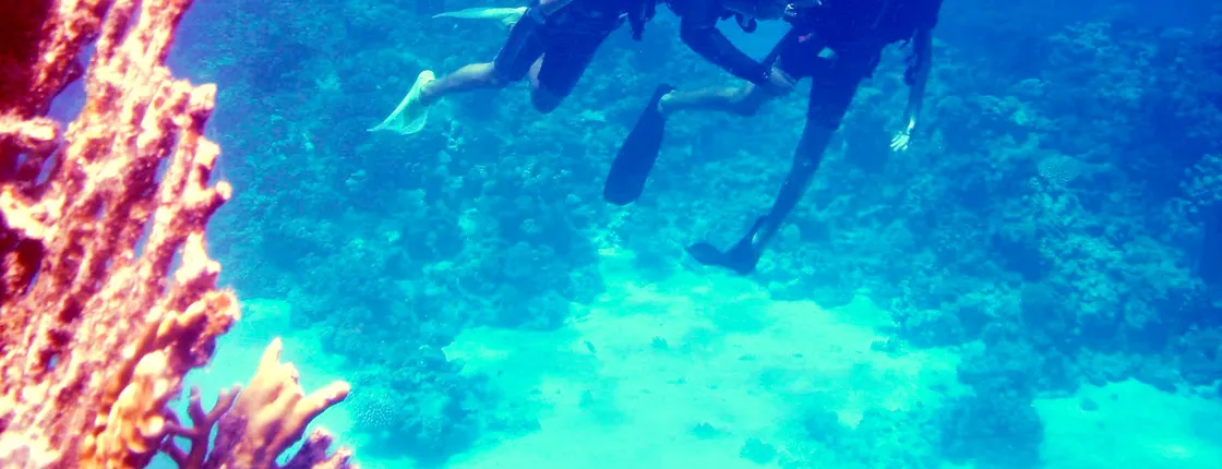 Diving experiences and packages from Dahab