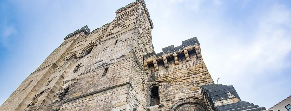Newcastle Castle entrance ticket