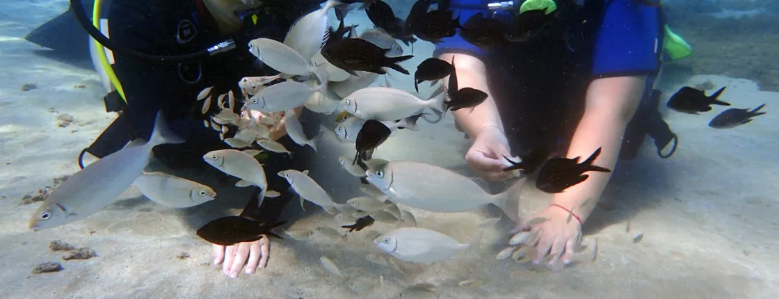 Discover scuba diving small group tour from Ayia Napa and Protaras
