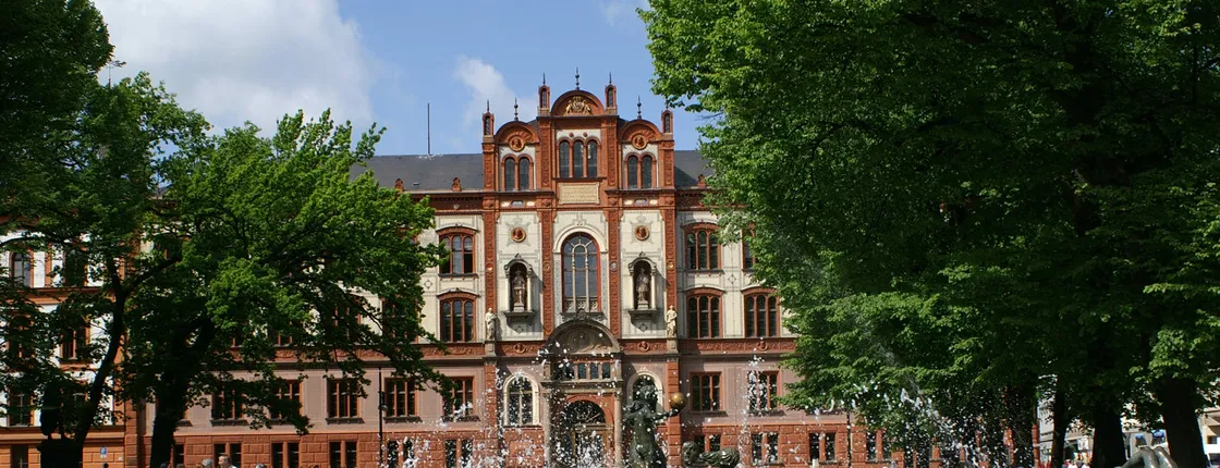 Private guided walking tour in Rostock