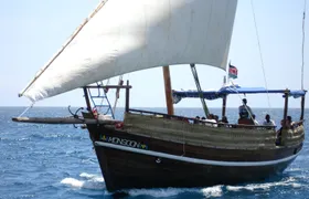 Kisite Marine Park snorkelling tour with Pilli Pipa dhow