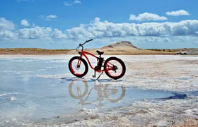 Electric bikes