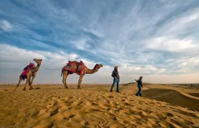 Desert Camel Safari Day Tour In Jodhpur
