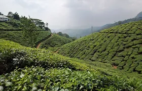 Southern Delights: Bangalore to Trichy