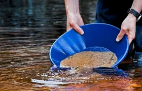 Gold panning adventure in Karlsruhe