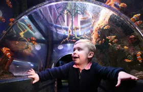 SEA LIFE Manchester entrance tickets