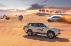 Dune dinner safari at Bassata Camp from Ajman