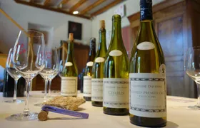 Chablis wine tasting session at the Domaine Clotilde Davenne