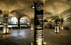 Guided Vineyard Tour and Wine Tasting on Lipari Island