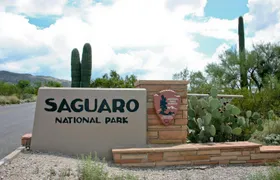 Audio-guided driving tour to Saguaro National Park