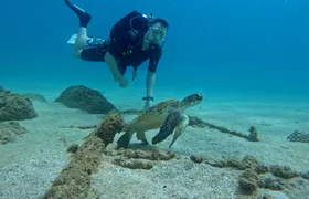 Fujairah two dives for certified divers with Dubai transfer