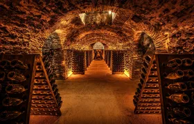 Cellar visit at the Champagne Boizel house and Millésime tasting