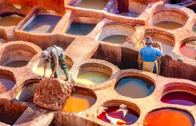 Fez half-day sightseeing tour