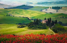 Pienza and Montepulciano food and wine tour from Siena