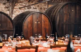Wine experience with typical lunch in a farm vineyard
