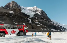 Columbia Icefield full-day adventure tour from Calgary