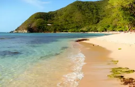 Full-day Bahía Concha and Tayrona Park guided tour with lunch