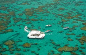 Maracajau Parrachos Reef - Group Tour