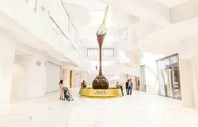 Zurich tour with cruise, Lindt Museum visit and optional FIFA Museum