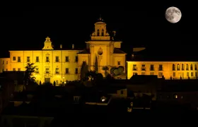 guided night tour