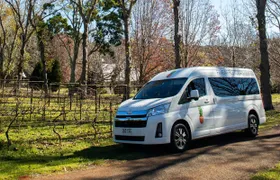 Guided Mount Tamborine wine tour from Gold Coast with lunch